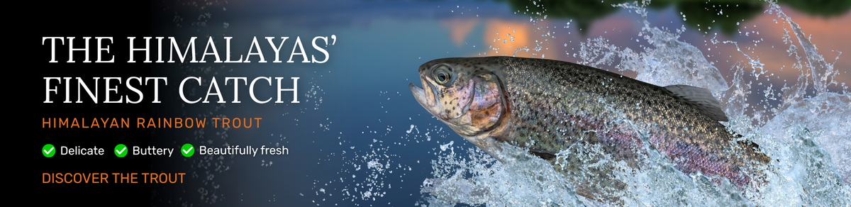 himalayan trout banner