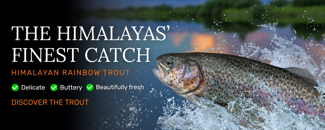 himalayan trout banner